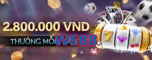 WE88